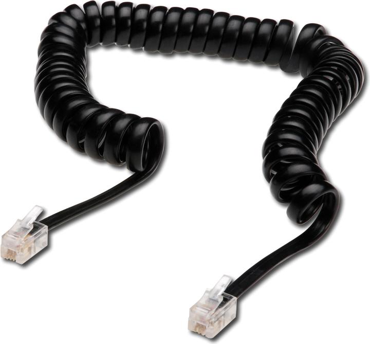 Actual product image Digitus UAE Modular Connection Helix Cable