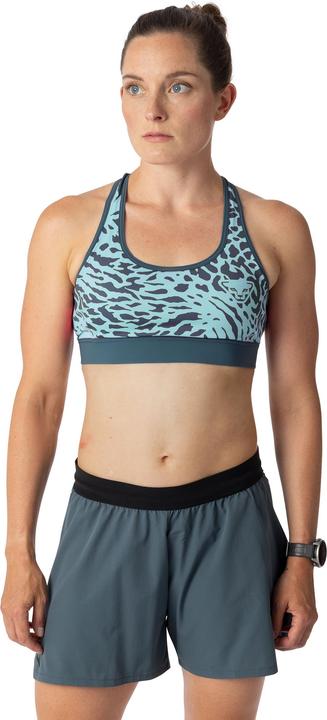 Produktbild Dynafit Alpine Graphic (XL)