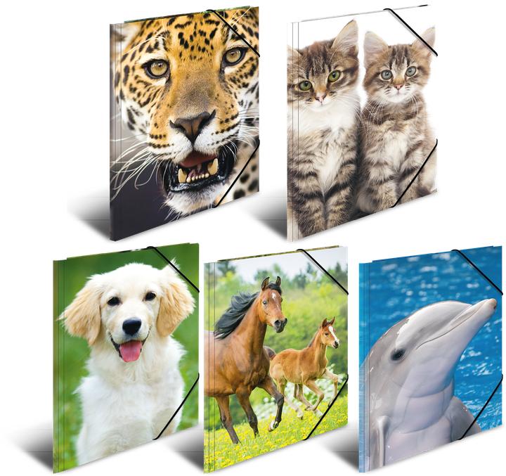 Image du produit HERMA Porte-documents A3 Motif (A3, 1x)