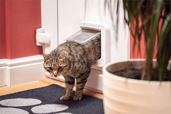 Actual product image SureFlap Microchip (Microchip Cat Flap)