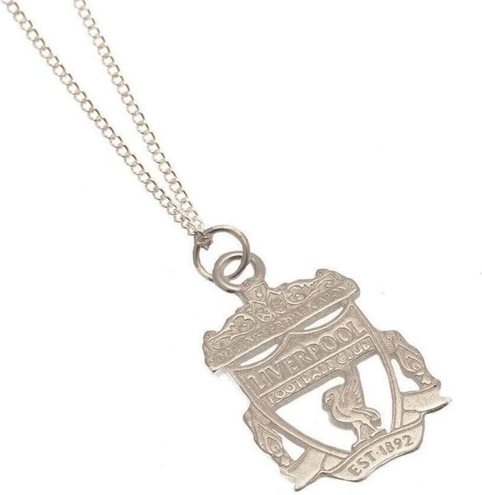 Immagine prodotto Score Draw Verniciato d'Argento Collana e Ciondolo (100% materiale sintetico)