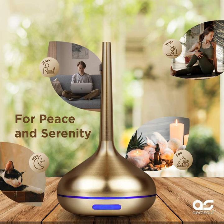 Actual product image Aerosoul aroma diffuser