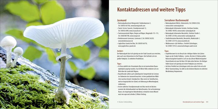 Produktbild Deutschlands alte Buchenwälder (Deutsch, Karl-Heinz Engel, 2015)