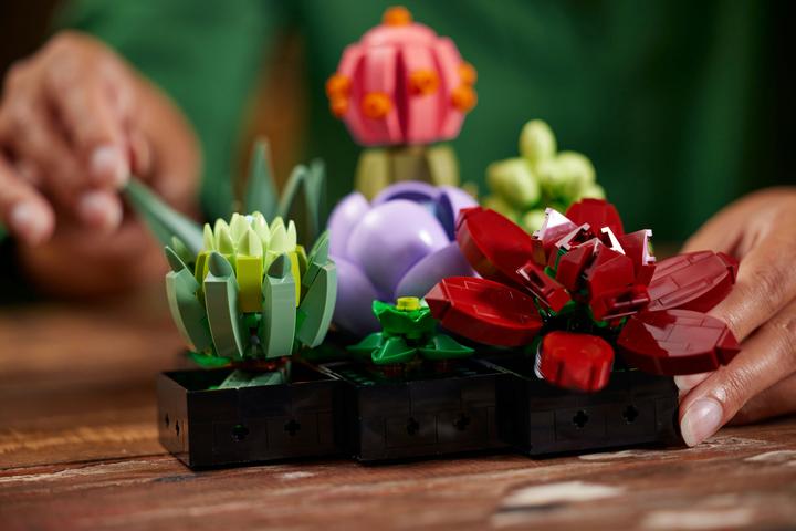 Image du produit LEGO Les succulentes (10309, LEGO Botanical, LEGO difficiles à trouver)