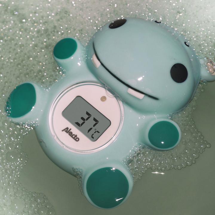 Image du produit Alecto Thermomètre BC-11