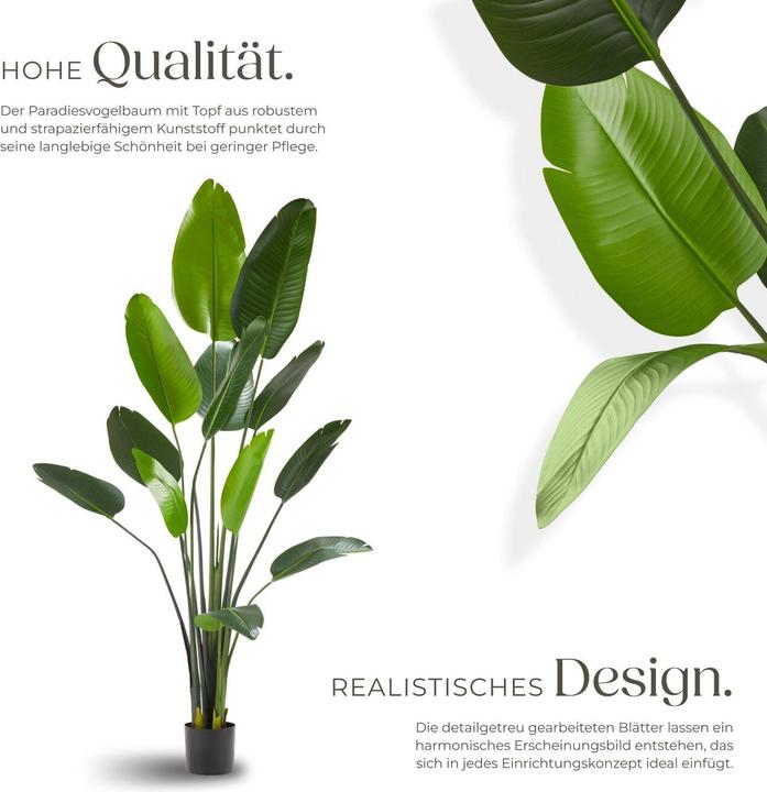 Produktbild tectake Paradiesvogelbaum Tropic (180 cm)