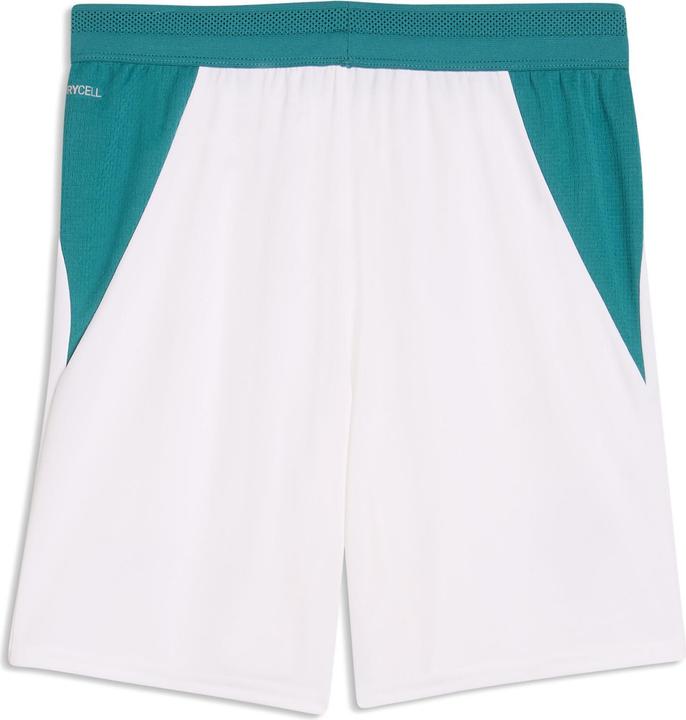 Produktbild Puma FPF Shorts Replica Jr (176)