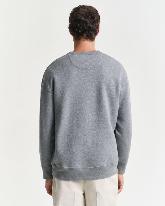 Actual product image GANT Graphic (S)