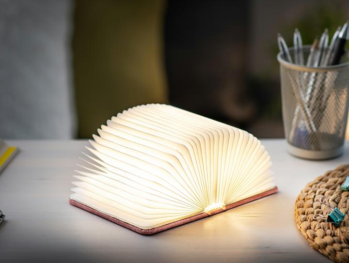 Immagine prodotto Gingko Mini luce intelligente del libro