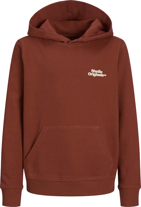 Image du produit Jack & Jones Rückenprint Kapuzenpullover Junior Kapuzenpullover (176)