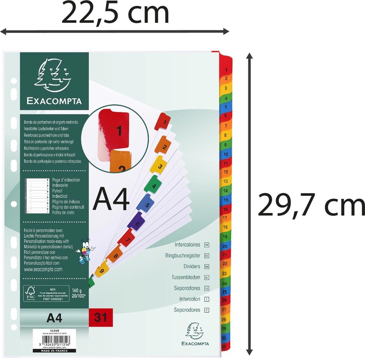 Image du produit Exacompta Intercalaires Imprimés numériques carte blanche 160g/renforts couleurs + page de garde - 31 position