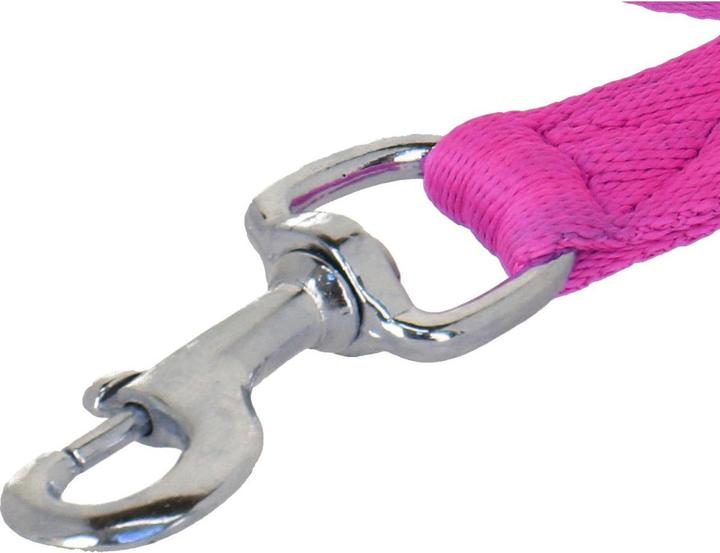 Produktbild Web Pferd Führstrick