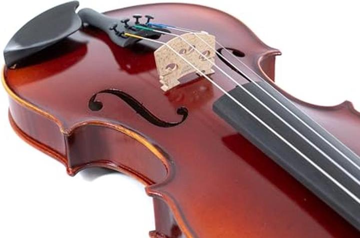 Immagine prodotto Gewa Set completo per violino mancino, pronto per suonare (Giocherellare)