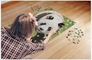 Produktbild Merchant Ambassador Pandas 1000 Teile (1000 Teile)