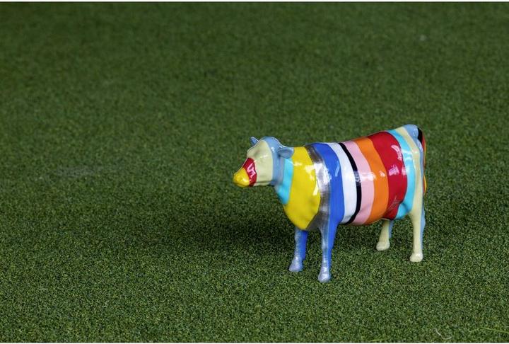 Actual product image Polymaker PJ01004 PolySmooth Filament polishable 1.75 mm 750 g Coral Red 1 pc. (PVB, 1.75 mm, 750 g, Red)