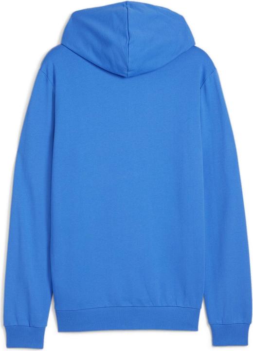 Actual product image Puma teamGOAL Casuals Hoody (XL)