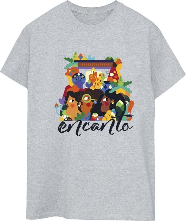 Actual product image Disney Womens/Ladies Encanto Sisters Cotton Boyfriend T-Shirt (S)