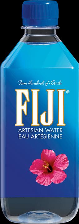 Image du produit Fiji Eau, 500ml PET, pack de 24 (24 x 50 cl)