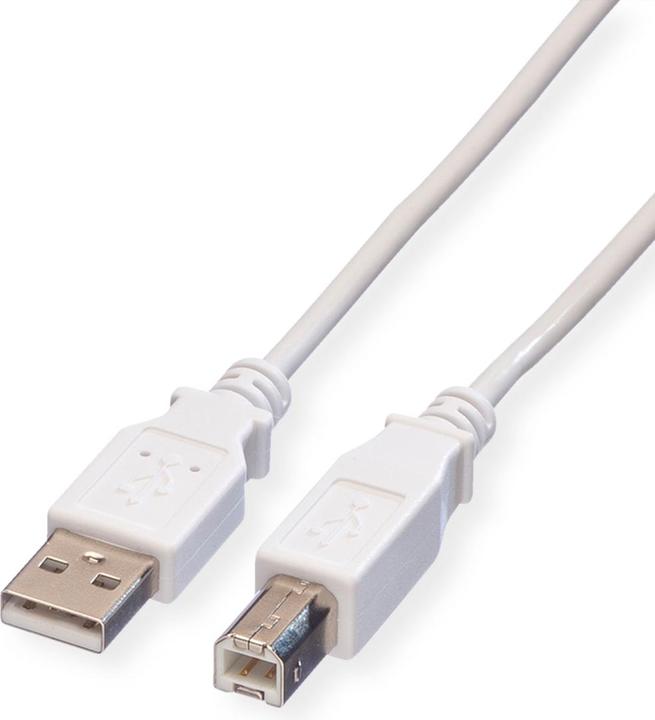 Value USB A — USB B (0.80 m, USB 2.0)