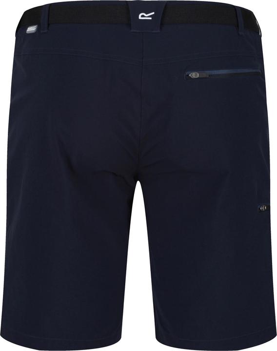 Actual product image Regatta Mens Xert III Stretch Shorts (46)