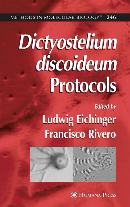 Produktbild Dictyostelium discoideum Protocols (Englisch, 2010)