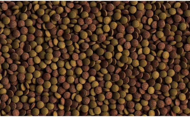 Produktbild Tetra TabiMin 2050 Tabletten (Zierfische)