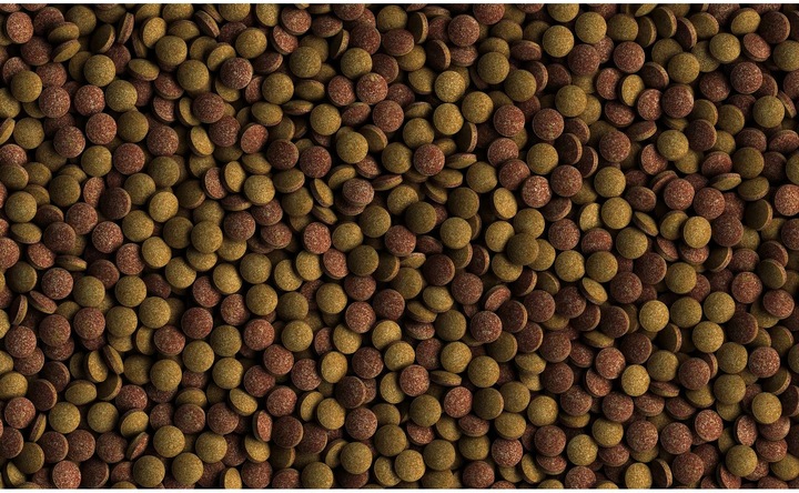 Produktbild Tetra TabiMin 2050 Tabletten (Zierfische)