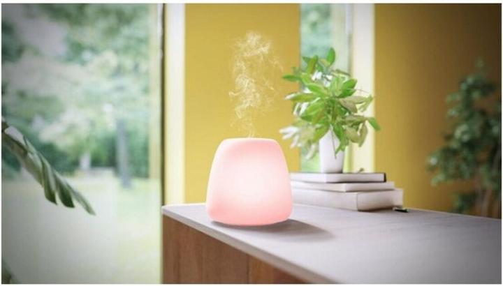 Actual product image Pranarom Joy (90 ml)