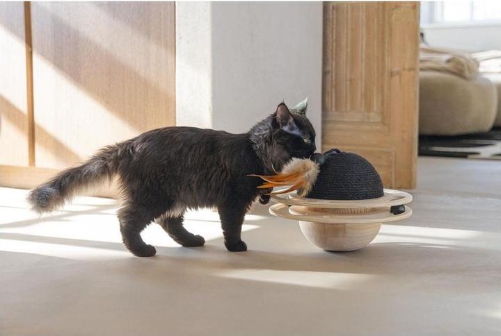 Produktbild Designed by Lotte Holz Spielball (Kratzspielzeug Katze)