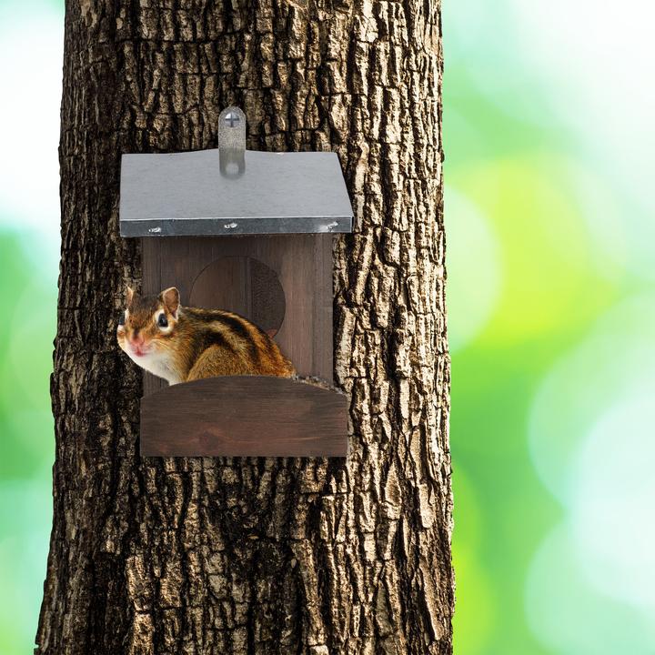 Actual product image Relaxdays Squirrel Feeder with Roof