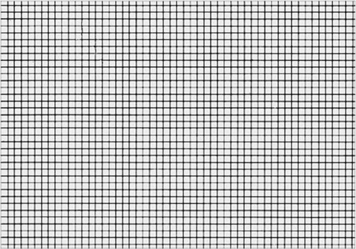 Biella Karteikarten kariert A7 (A7, 200 g/m², 100 x)