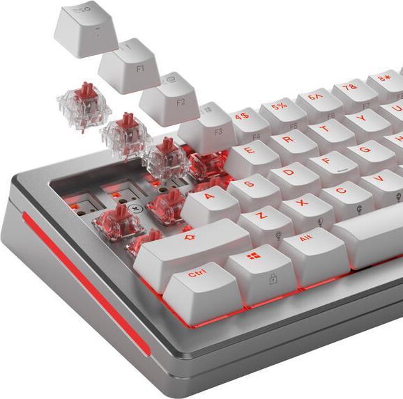 Actual product image Glorious Mechanical Switches (110pcs) - Fox - Ultralight (Linear) 30g