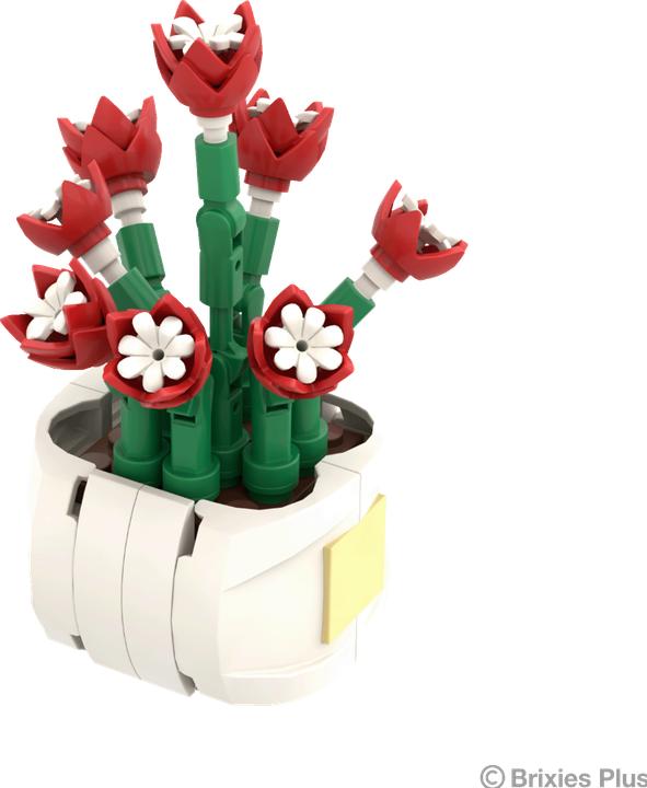 Mini fleur Asia Dream