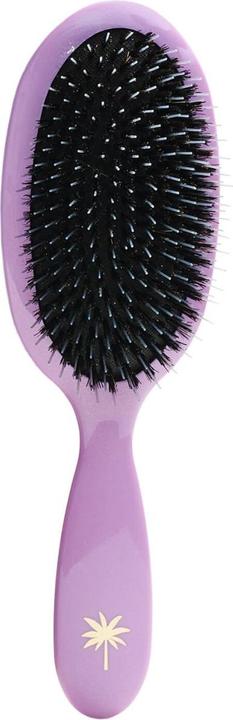 Image du produit Fan Palm - Brosse à cheveux moyenne Butterfly