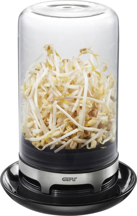Produktbild GEFU Sprossenglas Bivita