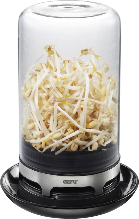 Actual product image GEFU Bivita rung glass