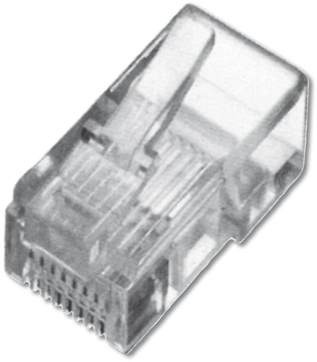 Digitus ASSMANN Modulaire connector voor lintkabel 8P8C onafgeschermd ASS 0512 CO (Stekker netwerkkabel)