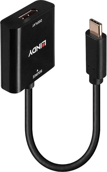 Lindy Konverter USB Typ C auf DisplayPort 4K144 (USB Typ-C, 21 cm)