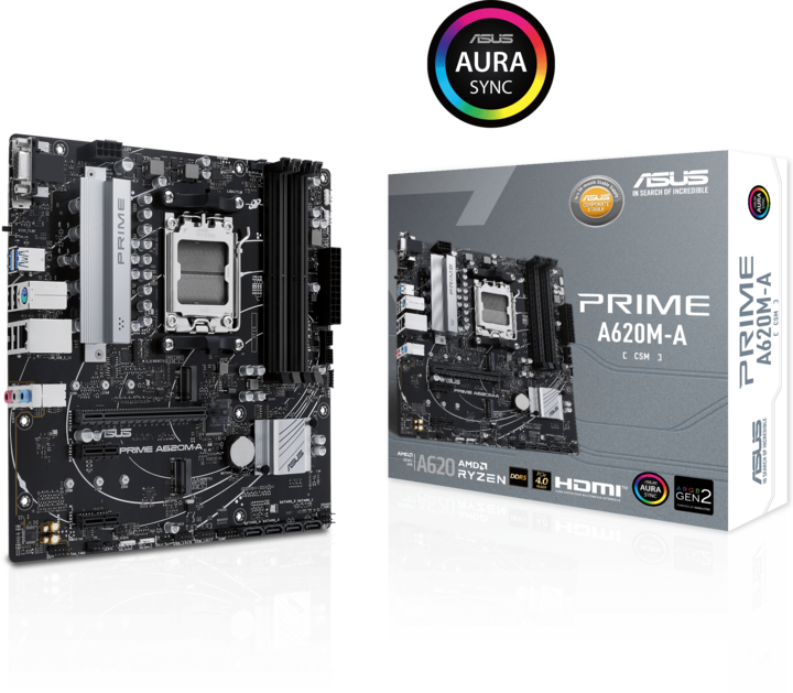 Actual product image ASUS Prime A620M-A-CSM (AM5, AMD SoC, mATX)