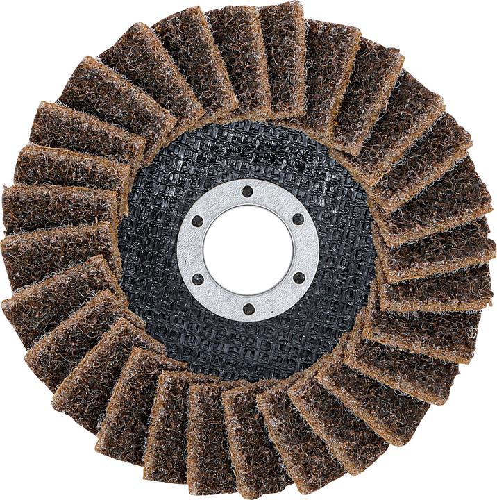 Produktbild BGS Fächer-Schleif-Scheibe | Vlies | Ø 125 mm | Körnung 80 (K 80)