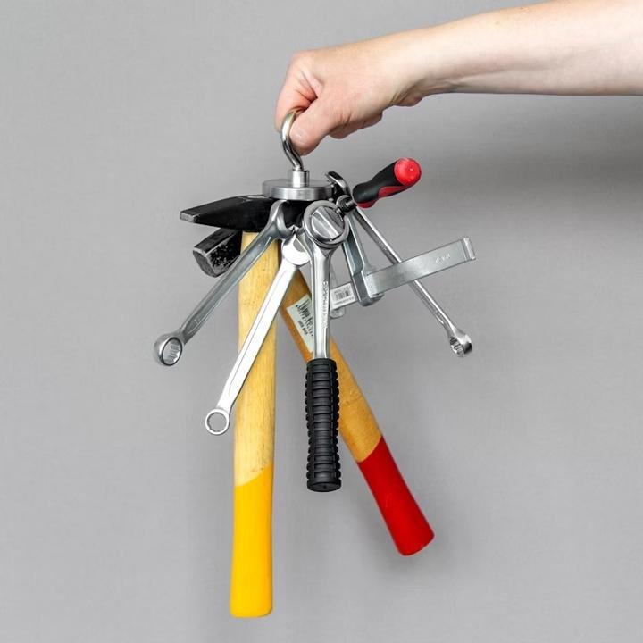 Produktbild Swissdetector Magnete Haken (1x)