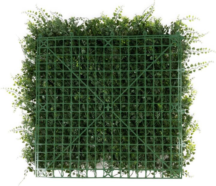 Produktbild Karat Fern (7 cm)