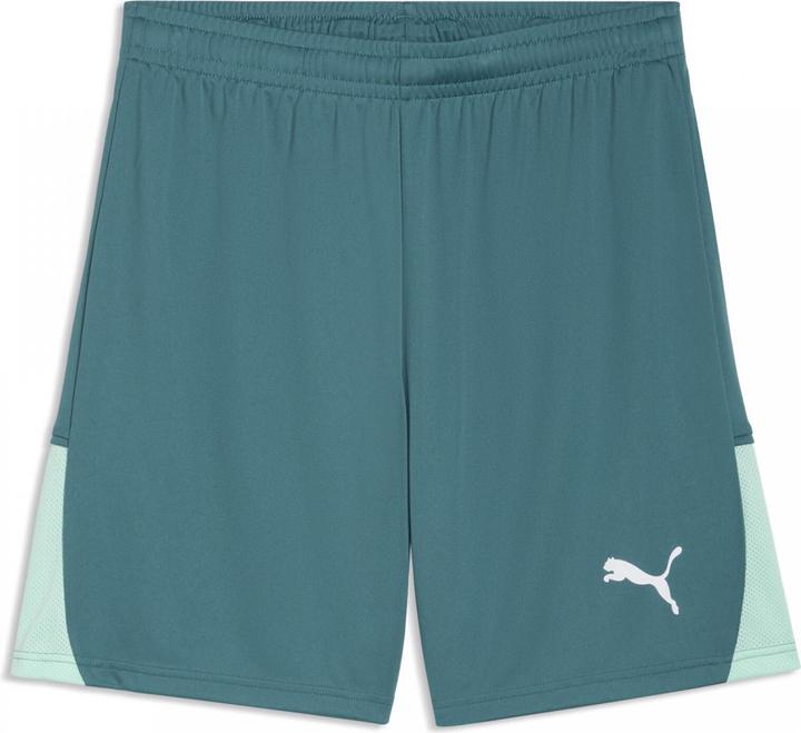 Produktbild Puma teamLIGA26 Shorts (S)