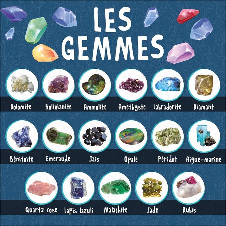 Actual product image Lisciani Minéraux (f)