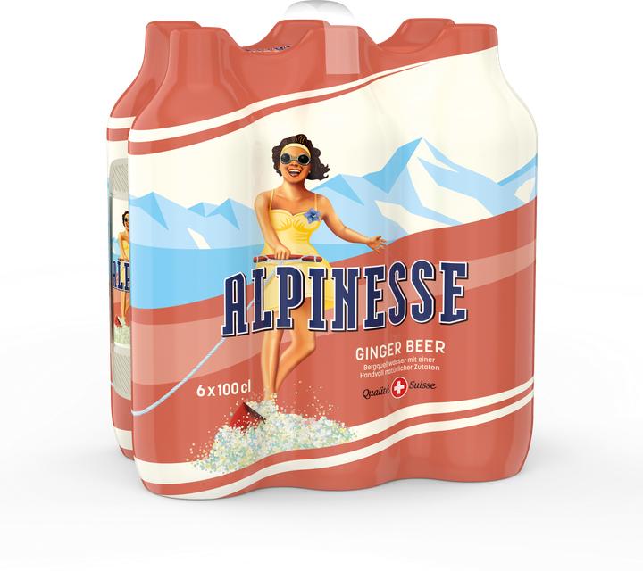 Produktbild Alpinesse Ginger Beer (6 x 100 cl)