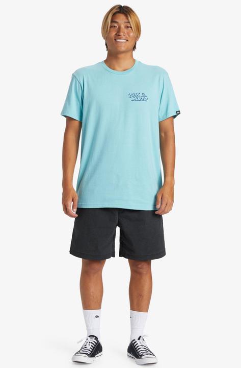 Image du produit Quiksilver Taxer (L)