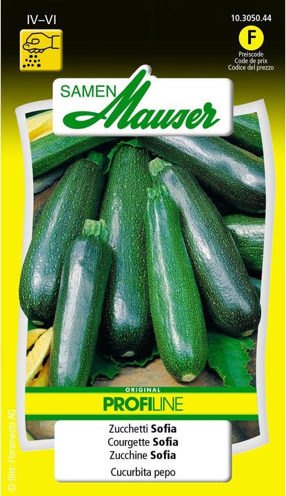 Image du produit Samen Mauser Zucchetti Sofia Profiline (Graines de légumes)