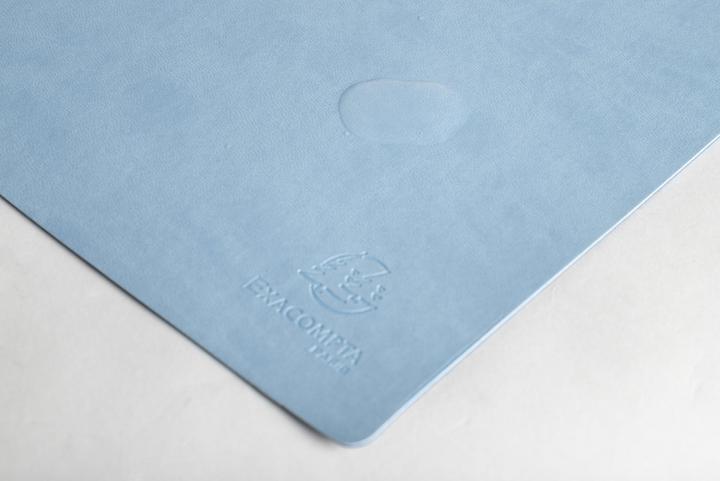 Actual product image Exacompta Desk pad (35 x 60 cm)