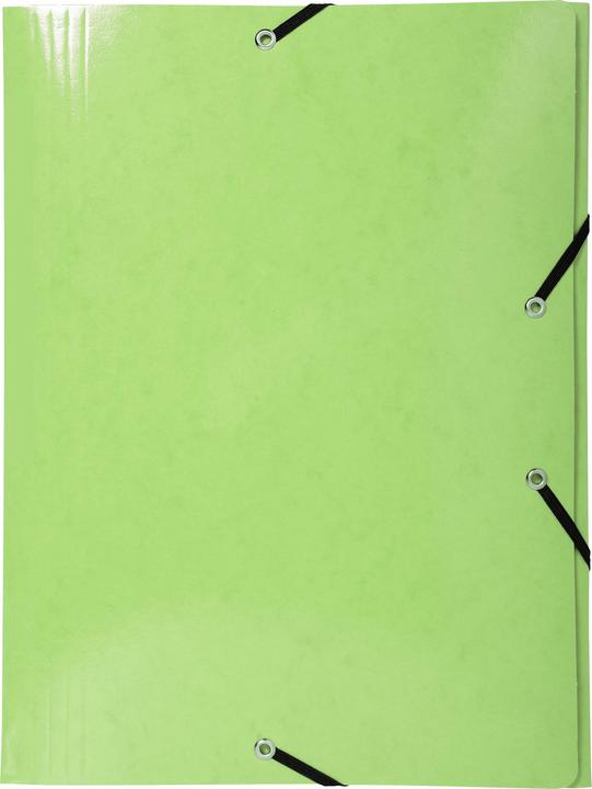 Actual product image Exacompta Collection folder with elastic band (A3, 1 x)