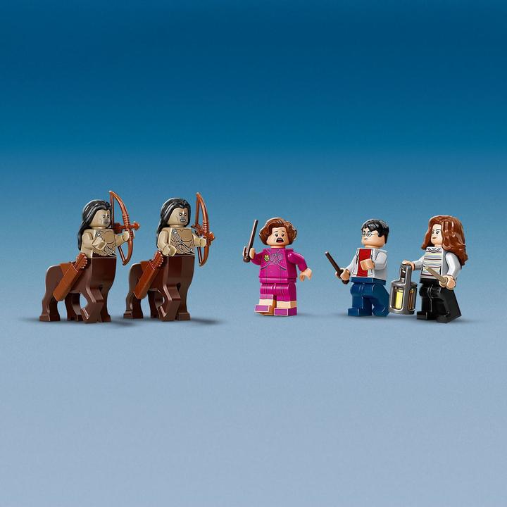 Image du produit LEGO La forêt interdite : rencontre avec l'omble (75967, LEGO Harry Potter)